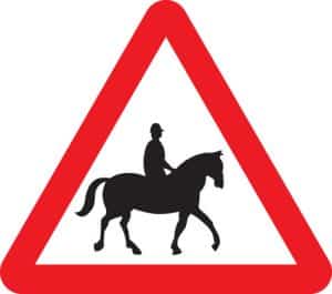 accompanied horses